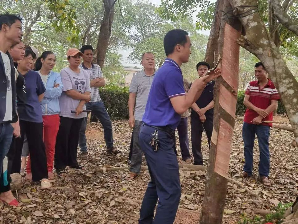 1701918052441010810.jpg 1701918052441010810.jpg