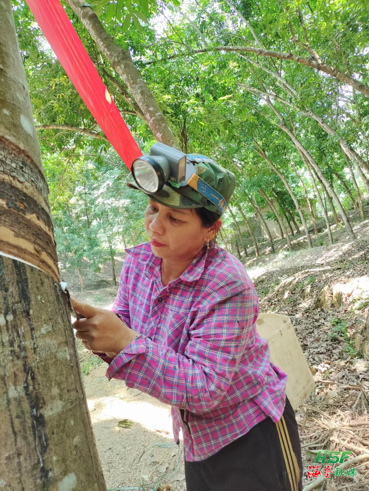 1702002217460029817.png 1702002217460029817.png