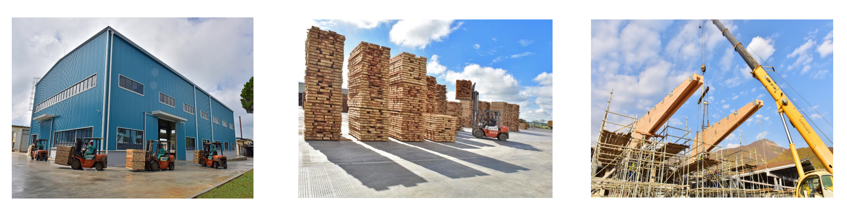 1710733278605022904.png 1710733273068.png