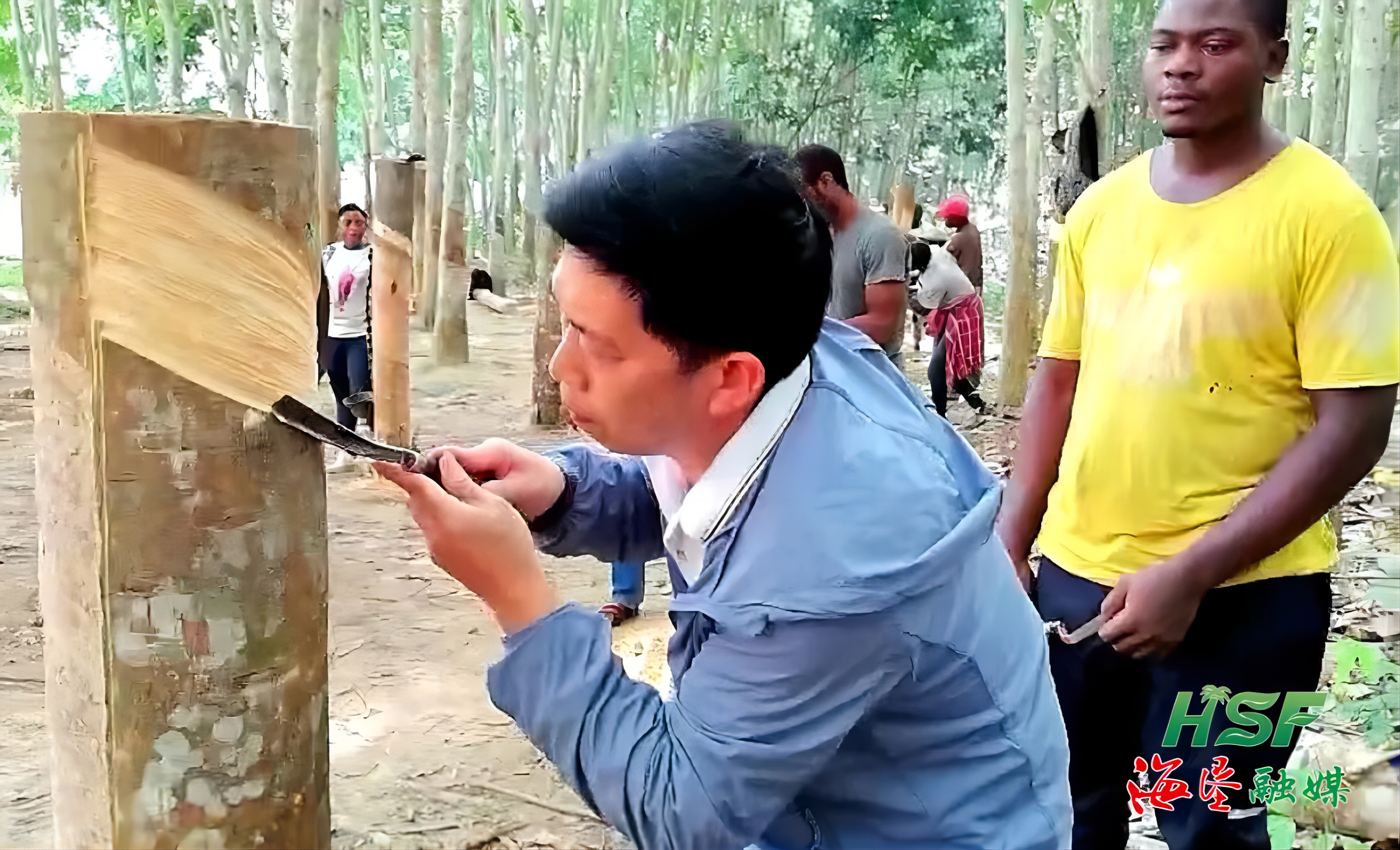 1714302037850013463.jpg 1714302037850013463.jpg