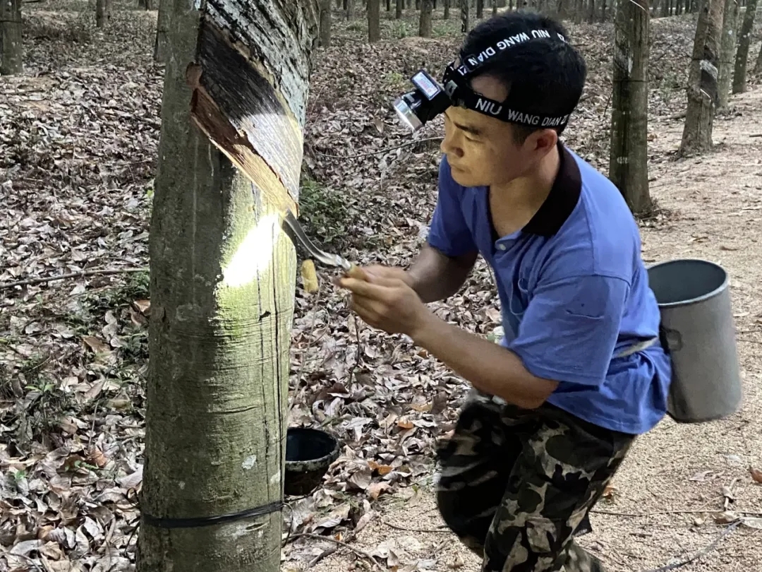 1717725937317061767.jpg 1717725937317061767.jpg