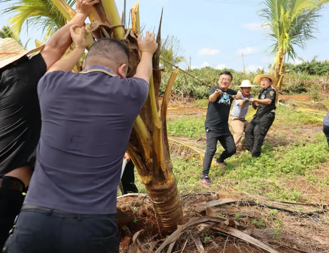 1726648420312072912.jpg 1726648420312072912.jpg