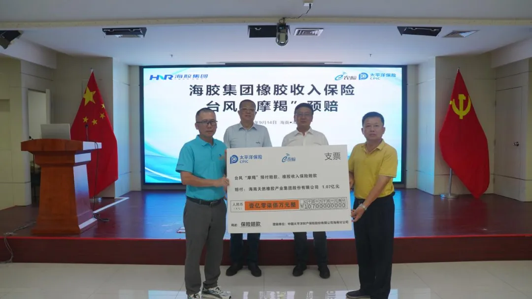 1726791987523034128.jpg 1726791987523034128.jpg