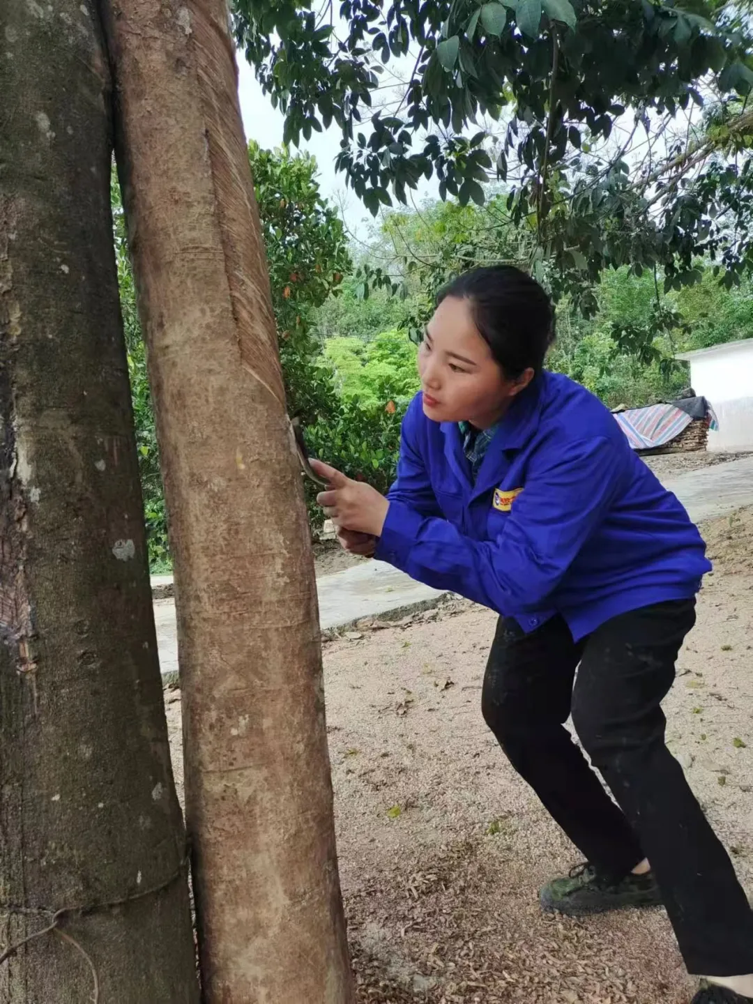 1727419507918093605.jpg 1727419507918093605.jpg