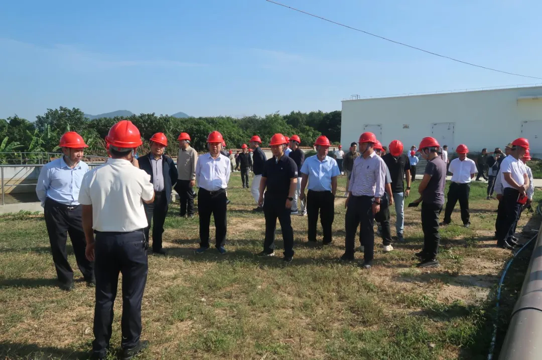 1733105894255067951.jpg 1733105894255067951.jpg