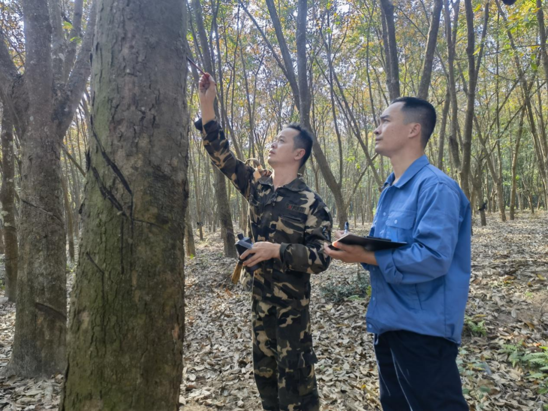 1747615707732020920.jpg 1747615707732020920.jpg