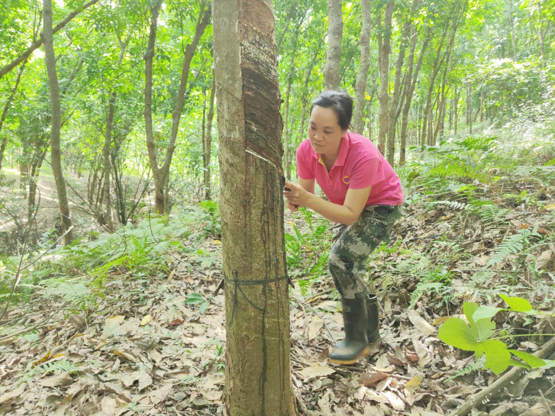 1747623852813053786.jpg 1747623852813053786.jpg