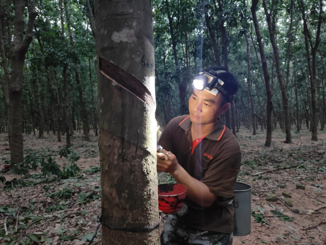 1747731608600068276.jpg 1747731608600068276.jpg