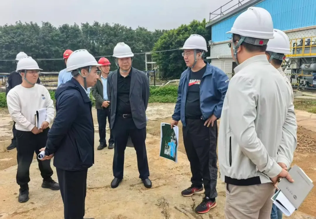 1764030299570047657.jpg 1764030299570047657.jpg