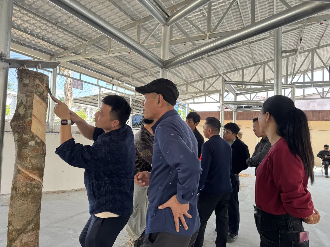 1768954385793065558.jpg 1768954385793065558.jpg